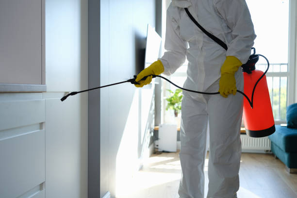 Best Emergency Mold Remediation in Schererville, IN